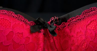 Bra Red Underwear Sexy Woman  - webandi / Pixabay