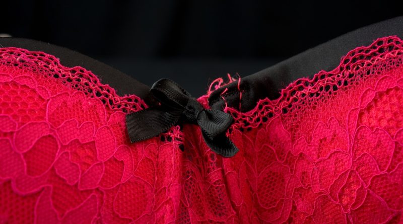 Bra Red Underwear Sexy Woman  - webandi / Pixabay