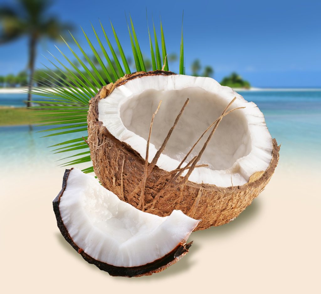 Coconuts On The Beach Summer Beach - Alberto_Fabregas / Pixabay