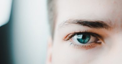 Eye Brows Lashes Face Human  - arvidkaffke / Pixabay